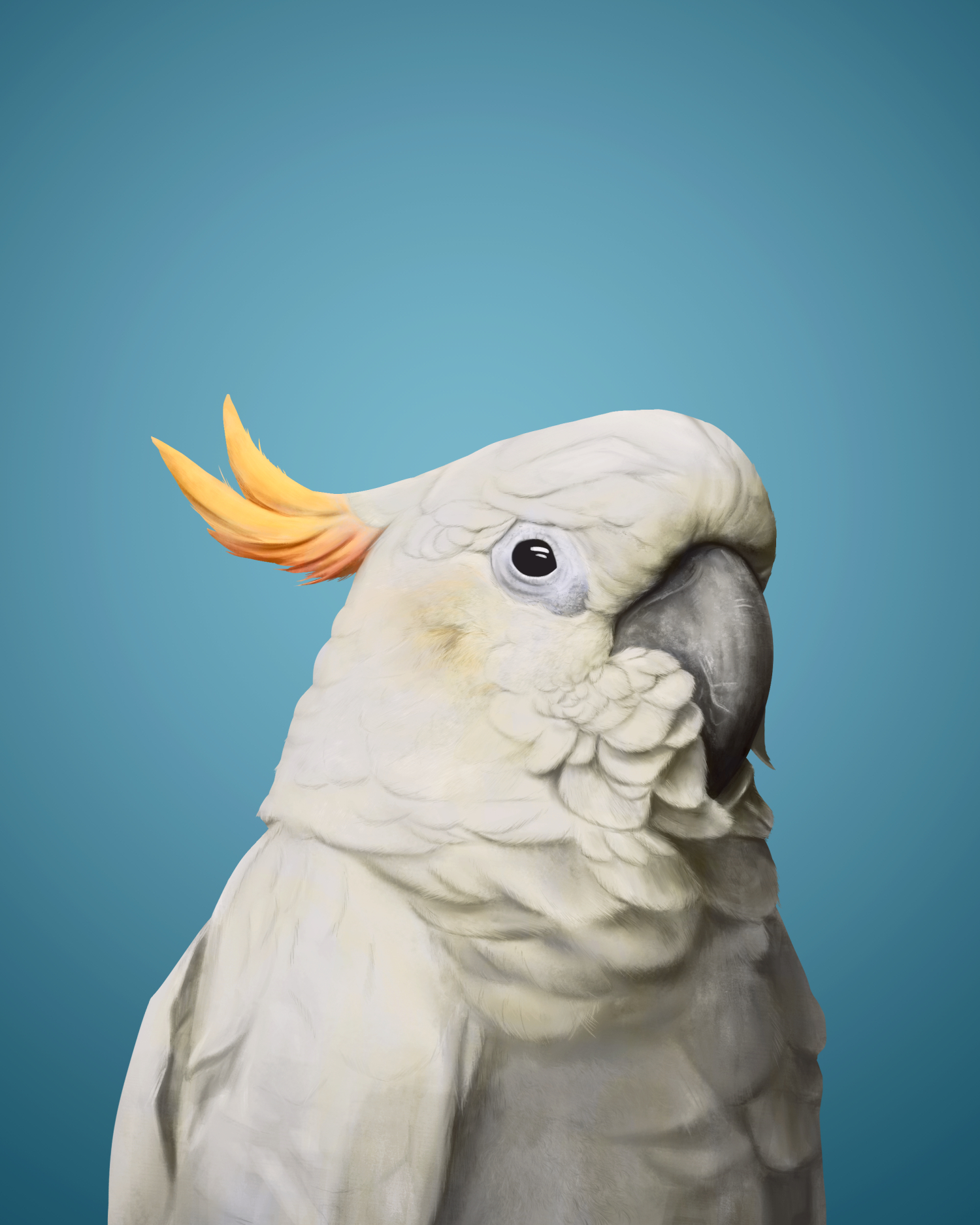 Digital painting of a cockatoo